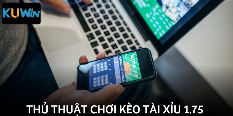 Kinh nghiệm sâu sắc khi chơi cá cược tài xỉu 1.75
